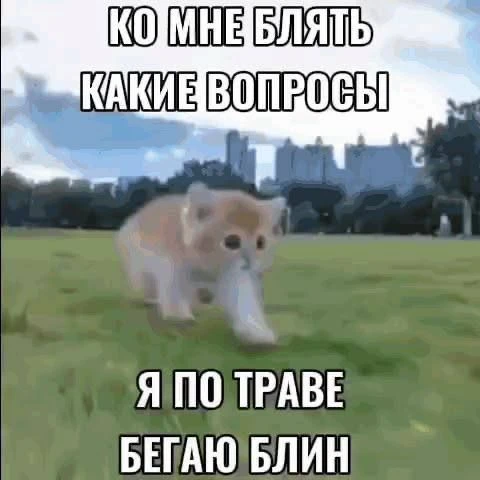 questions